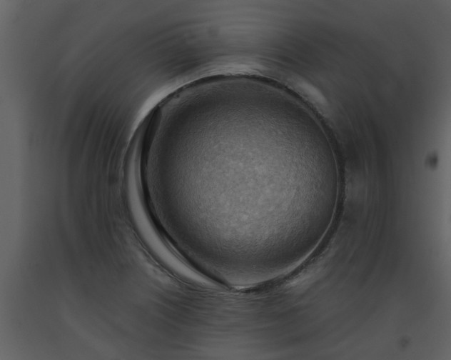 X0000093591226200710221517