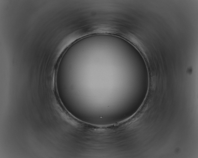 X0000093591227200710221517