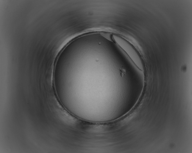 X0000093591228200710221517