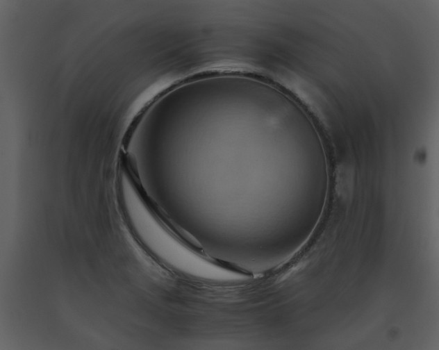 X0000093591229200710221517