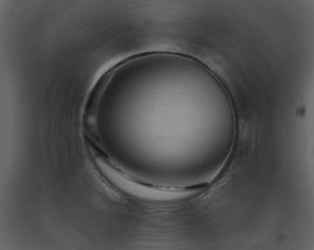 X0000093591230200710221517