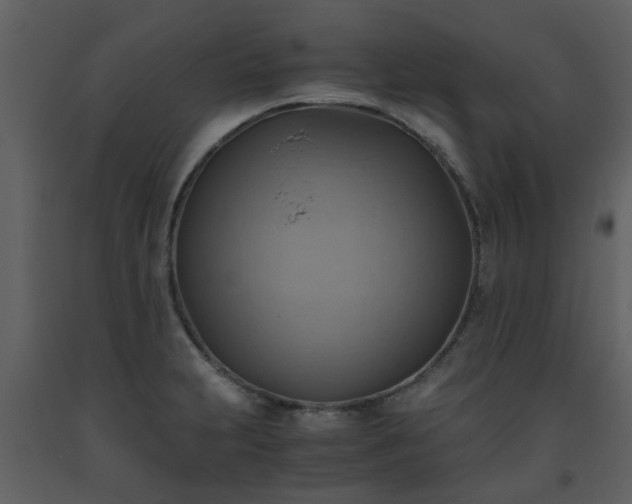 X0000093591231200710221517