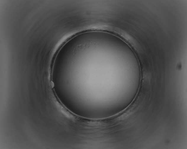 X0000093591232200710221517