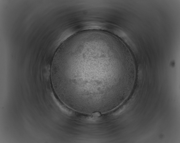 X0000093591233200710221517
