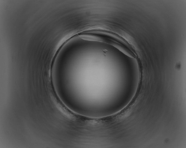 X0000093591234200710221517