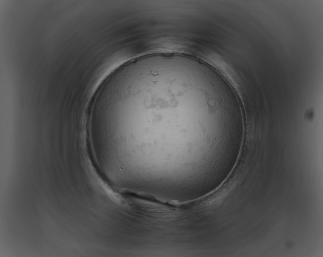 X0000093591235200710221517