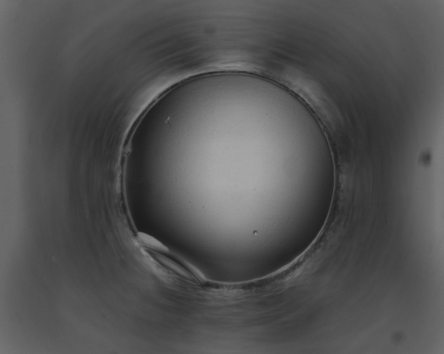 X0000093591236200710221517