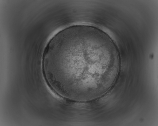 X0000093591237200710221517