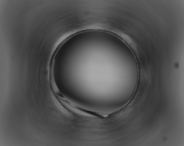 X0000093591238200710221517