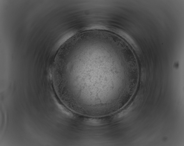 X0000093591241200710221517