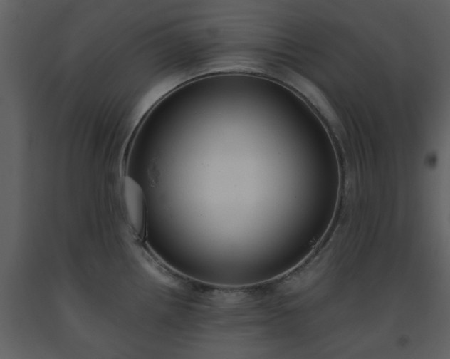 X0000093591242200710221517