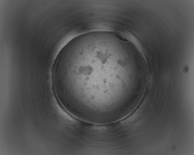 X0000093591243200710221517