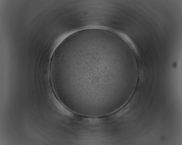 X0000093591244200710221517