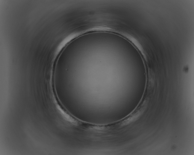 X0000093591245200710221517