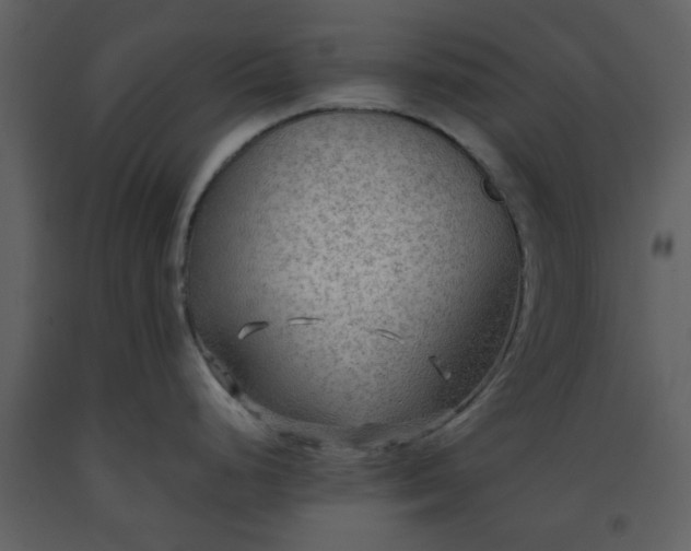 X0000093591248200710221517