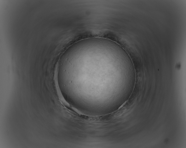 X0000093591249200710221516