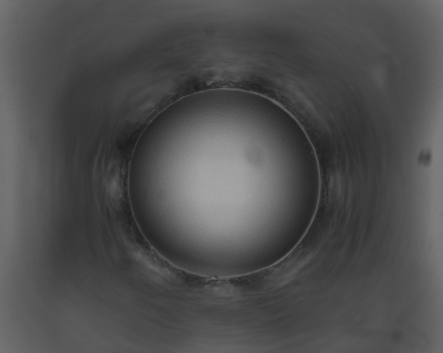 X0000093591250200710221516