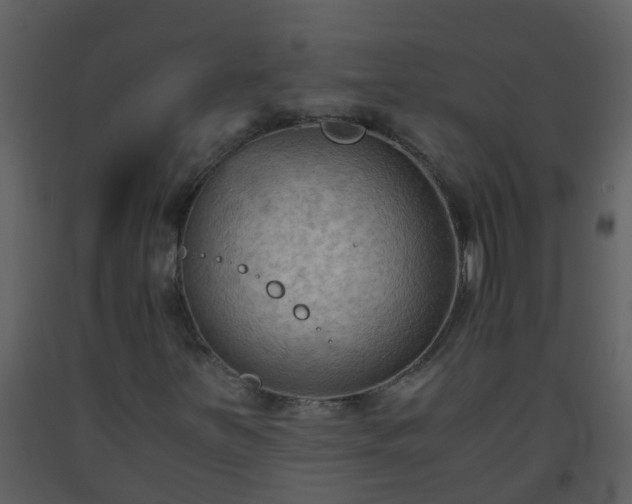 X0000093591251200710221516