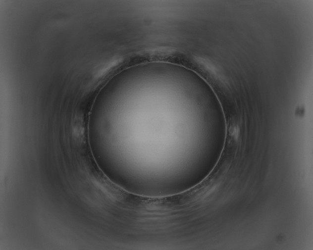 X0000093591252200710221516