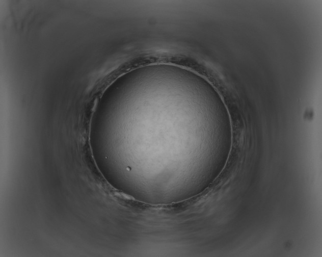 X0000093591253200710221516