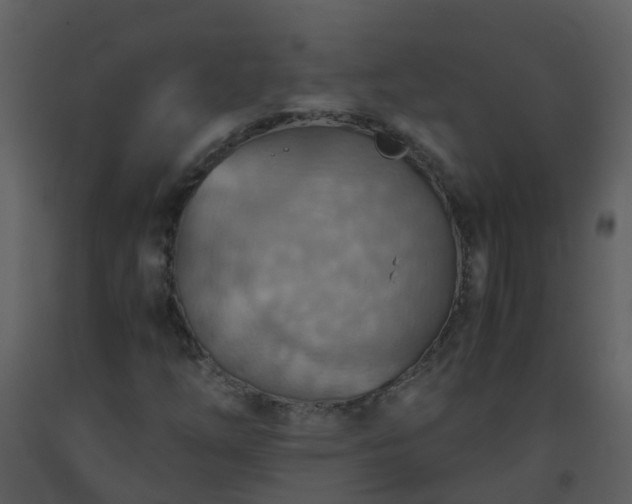 X0000093591254200710221516