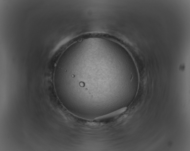 X0000093591255200710221516