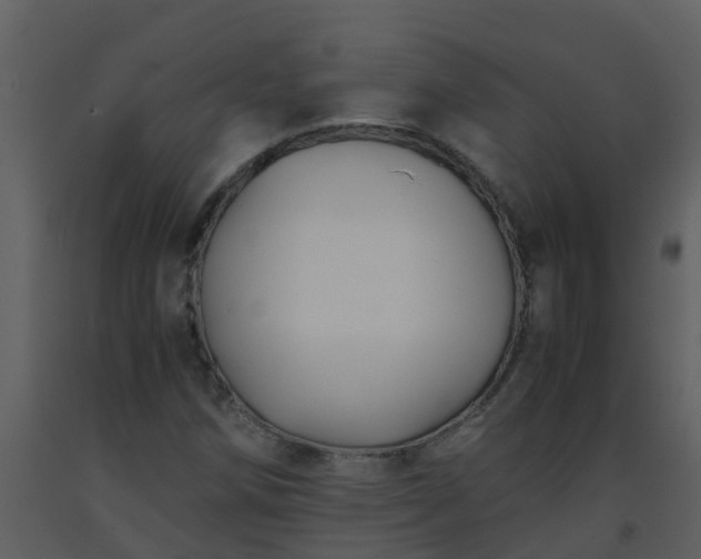 X0000093591258200710221516