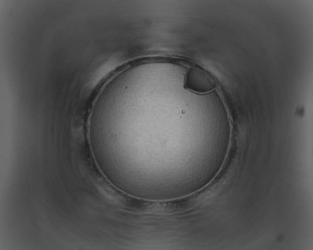 X0000093591259200710221516
