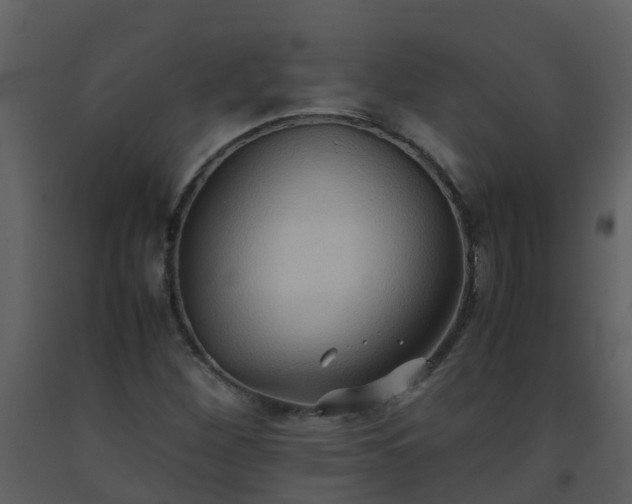 X0000093591260200710221516