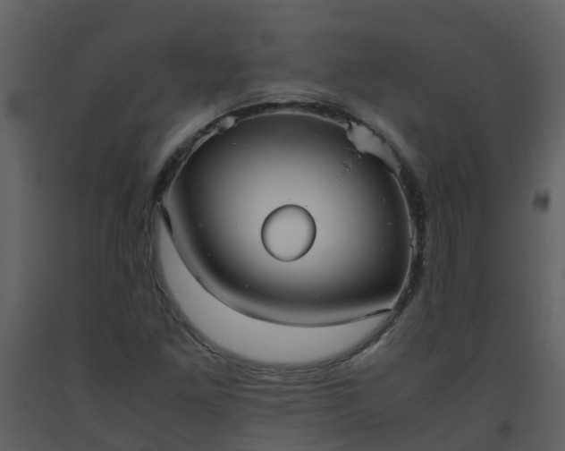 X0000093591261200710221516