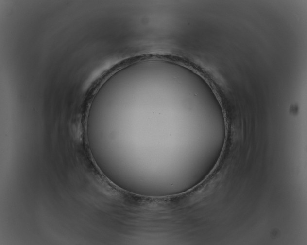 X0000093591262200710221516