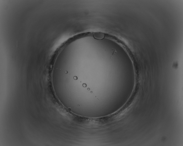 X0000093591263200710221516