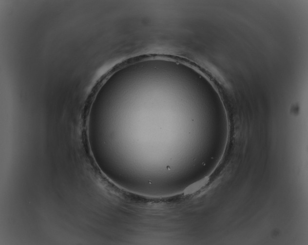 X0000093591264200710221516