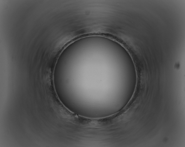 X0000093591265200710221516