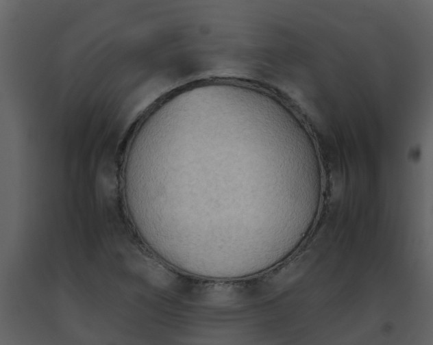 X0000093591266200710221516