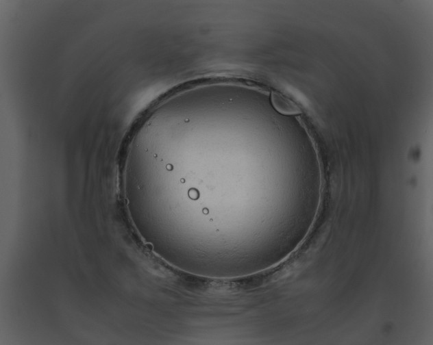 X0000093591267200710221516