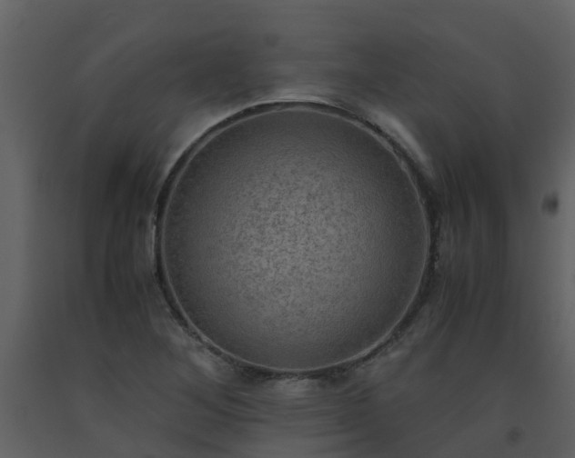 X0000093591268200710221516