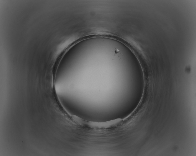 X0000093591269200710221516