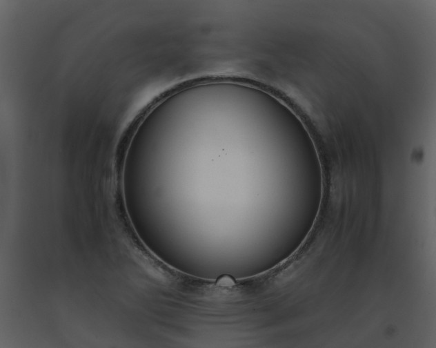X0000093591270200710221516