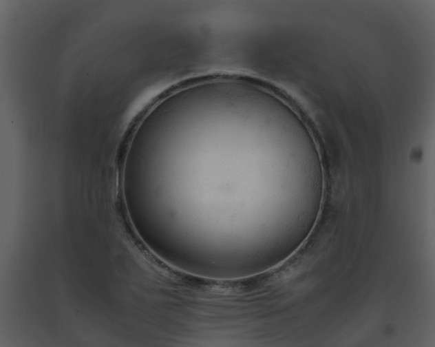 X0000093591271200710221516