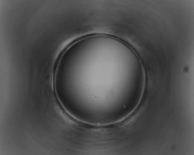 X0000093591272200710221516