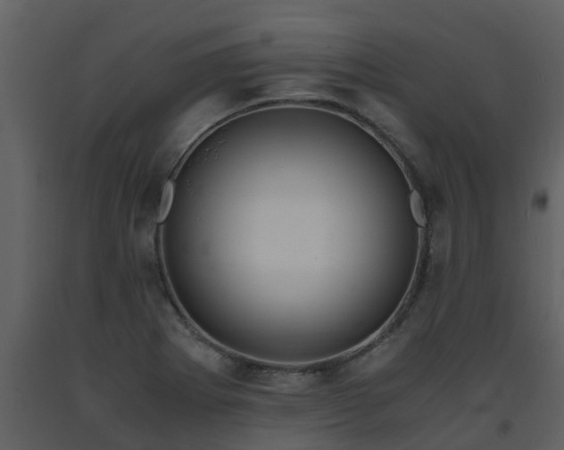 X0000093591273200710221516
