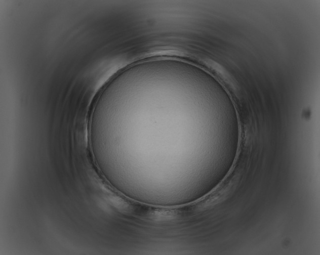 X0000093591274200710221516