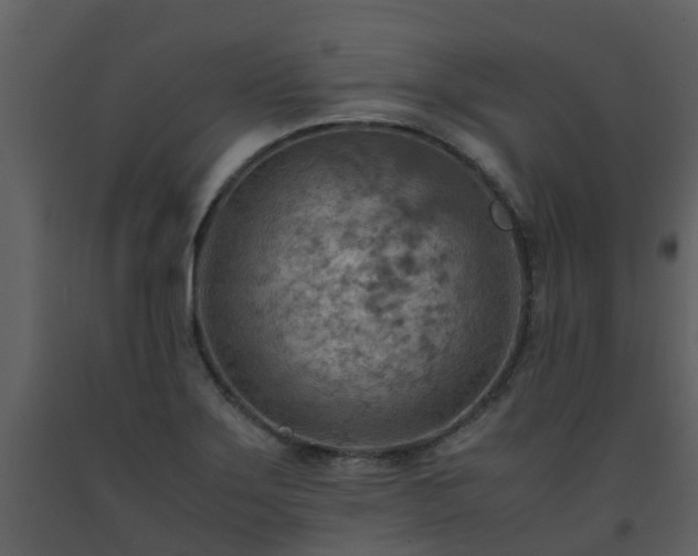 X0000093591275200710221516