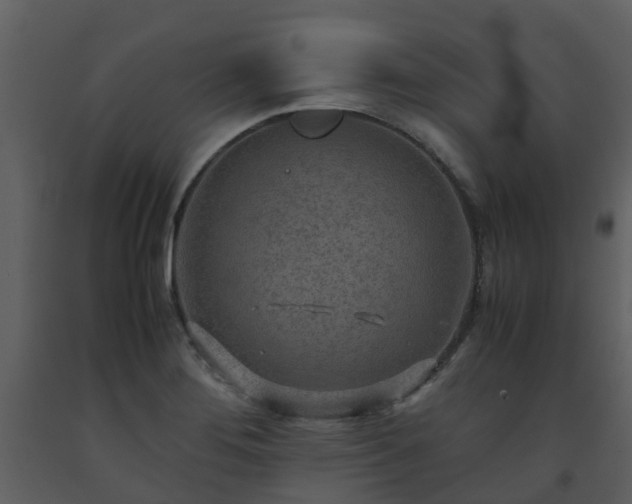 X0000093591276200710221516