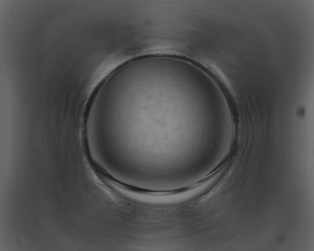X0000093591277200710221516