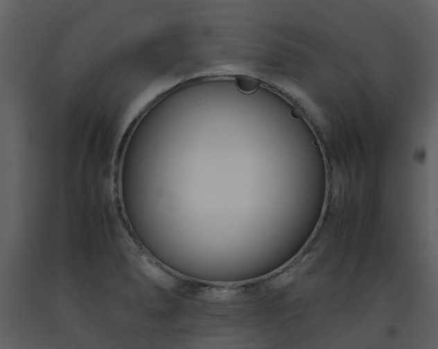 X0000093591278200710221516