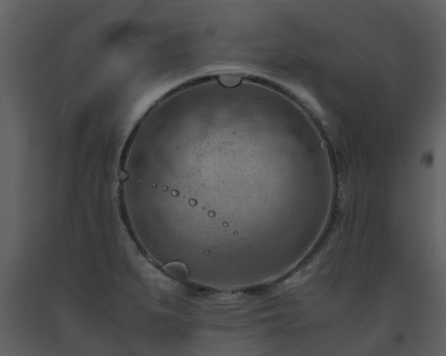 X0000093591279200710221516