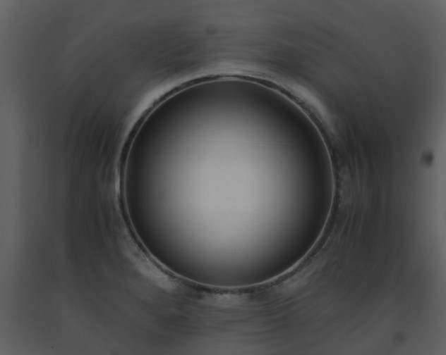 X0000093591280200710221516