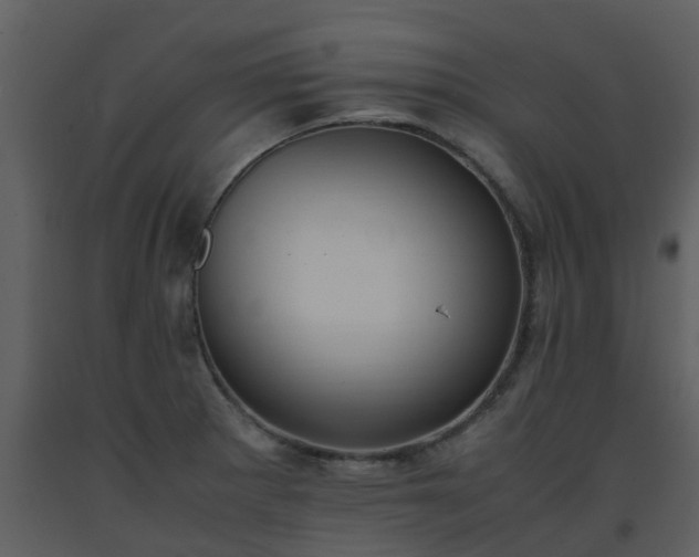 X0000093591281200710221516